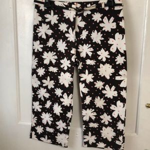 Ann Taylor loft Capri pants